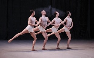 Національний театр танцю Шайо показав балет «Лебедине озеро»;  його прем'єра відбулася 10 січня цього року в Страсбурзі