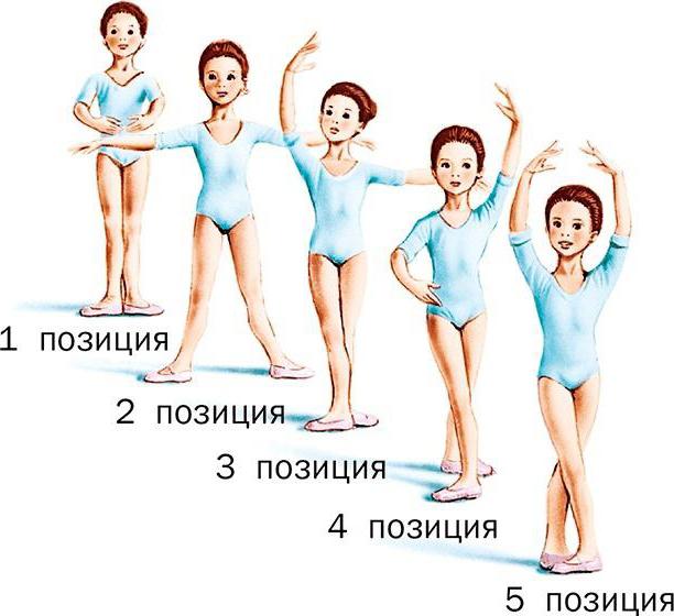 Школа сучасного танцю, як і балетна, включає вивчення основних позицій рук