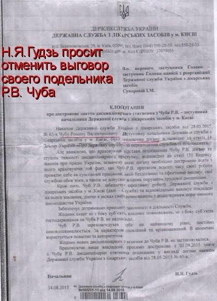 Щоб не позбавити його преміальних, пані Гудзь в серпні-2015 звернулася до Держслужби України з клопотанням про помилування