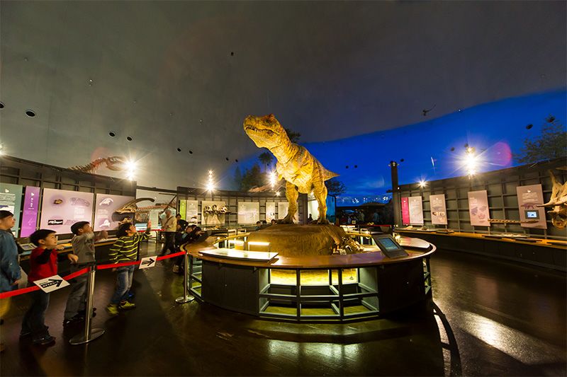 Царство тиранозавра - головний експозиційний зал музею, який в той же час є і дослідницьким центром світового рівня