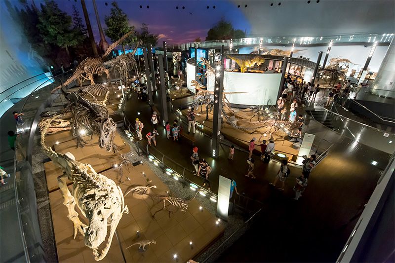 У секції «Світ динозаврів» представлено 44 повних скелета, в залі стоїть 200-дюймовий монітор «Дінотеатр», влаштована діорама, що знайомить з знахідками динозаврів в Китаї, показані тварини Японії та інших азіатських країн