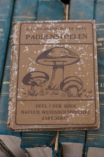 Тут же знайшлися відмінні щипці з пташиними лапками, книга про гриби і керамічна брошка - запас подарунків для друзів